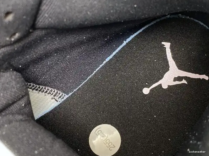 Reps LUCY BQ6472-602 1 Powder (W) Jordan Mid Dirty Iridescent Air 0611